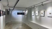 http://k-artjewelry.com/files/gimgs/th-245_JAR-ex2-25.jpg