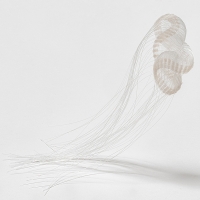 http://k-artjewelry.com/files/gimgs/th-246_JAR02-25.jpg